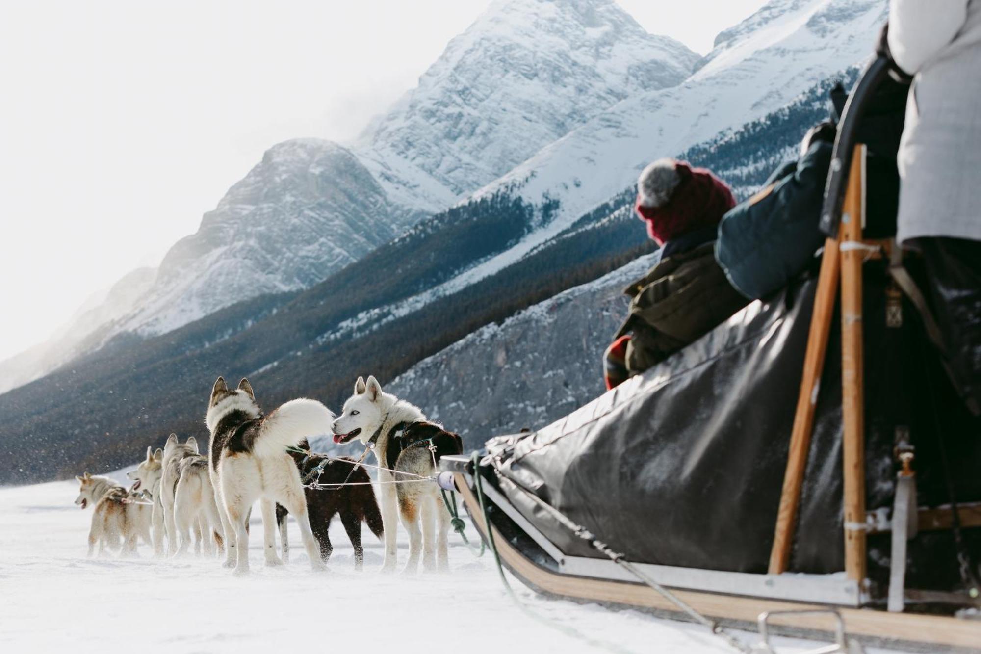 Special! New Downtown Mtn View Free Parking 2B&2B Leilighet Canmore Eksteriør bilde